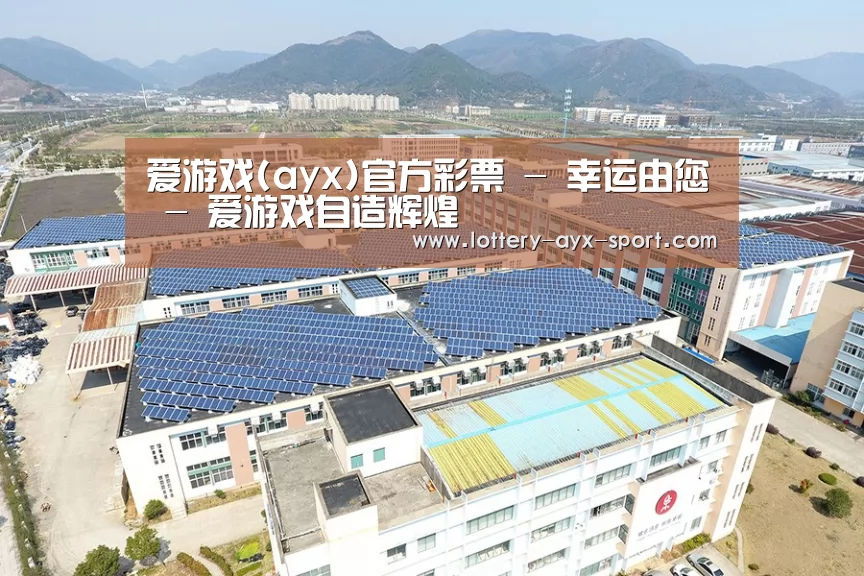 案例展示二
