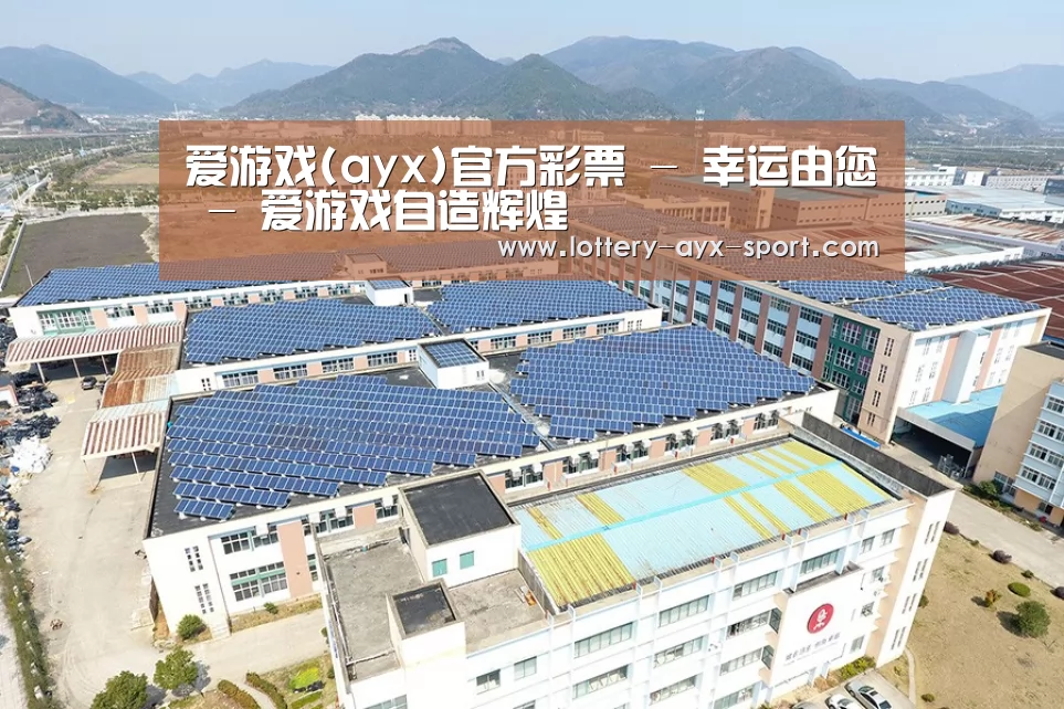 案例展示四