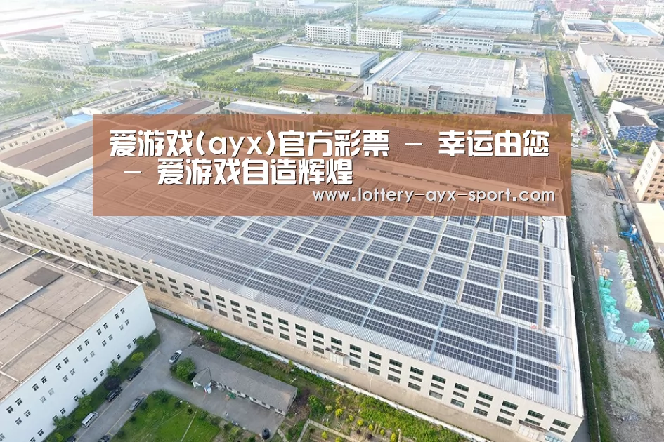 案例展示二