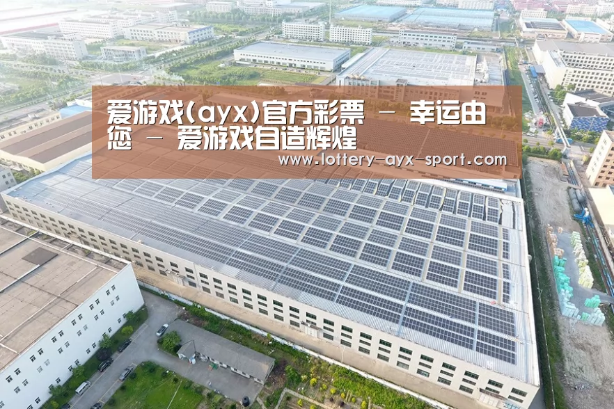 案例展示三