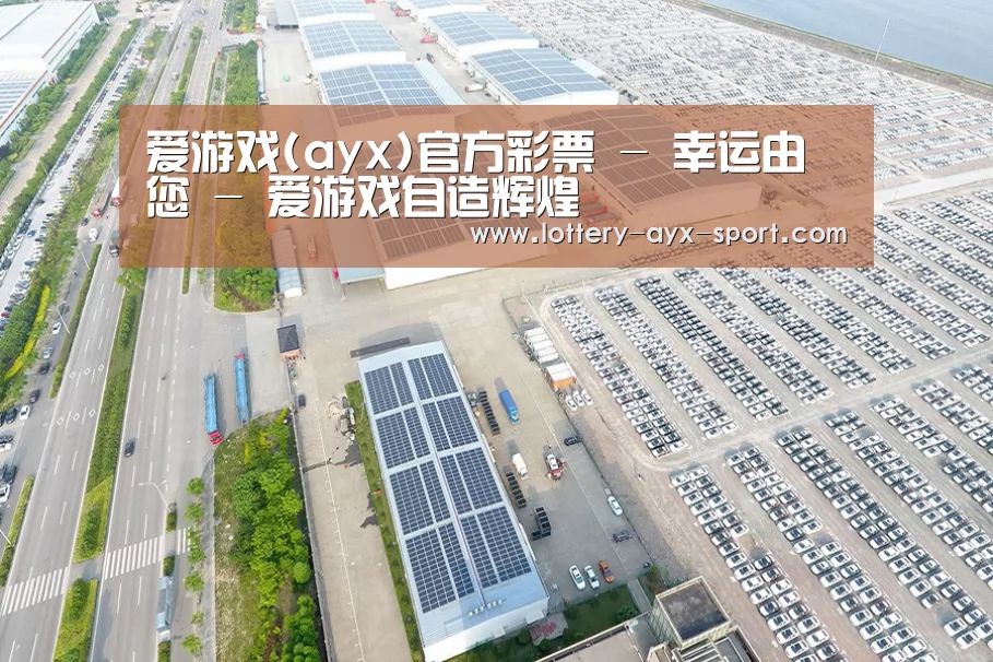 案例展示一