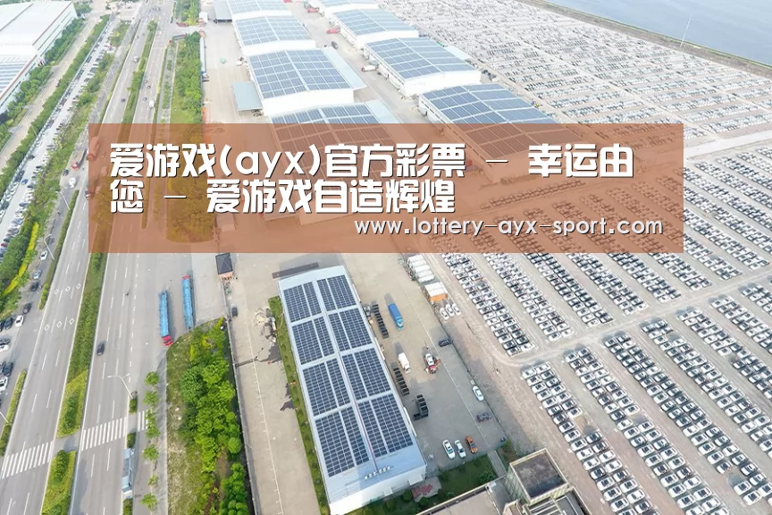 案例展示一