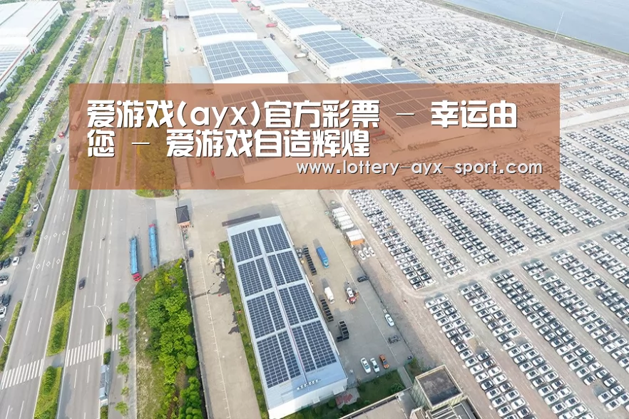 案例展示四