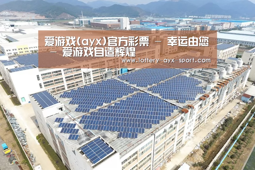 案例展示四