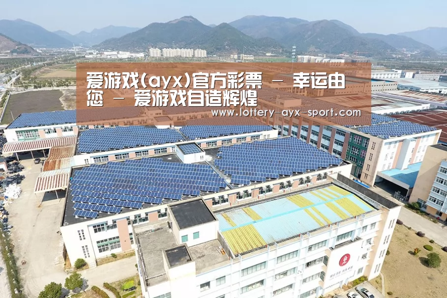 案例展示三