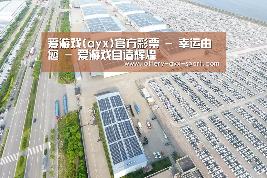 案例展示三