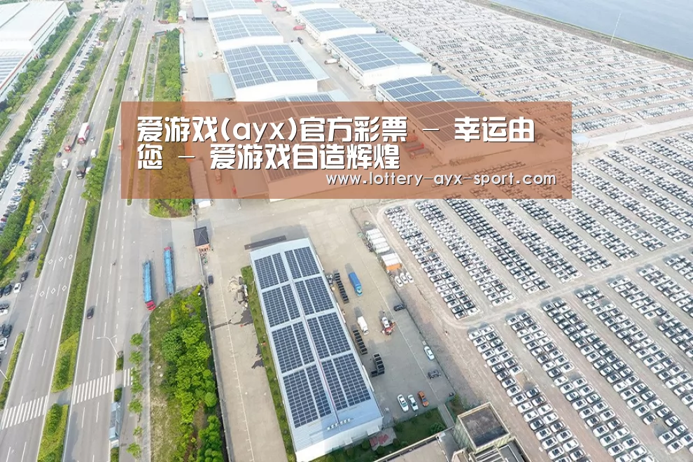 案例展示二