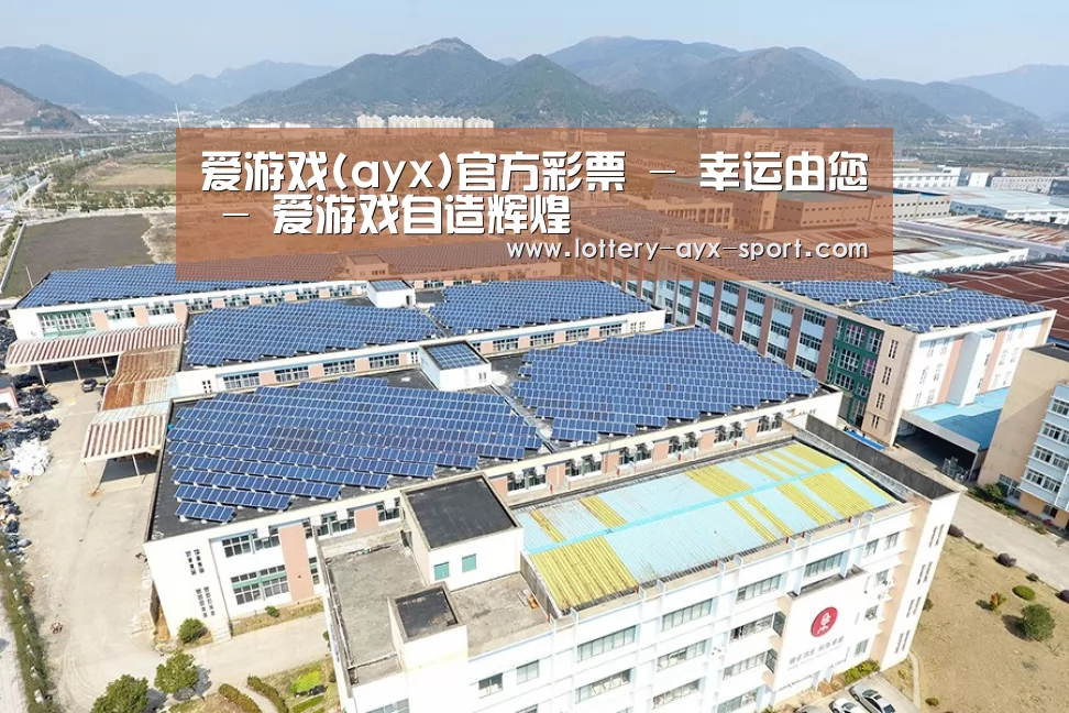 案例展示三