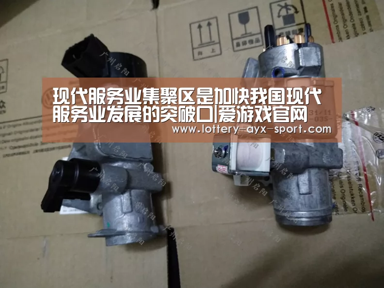 现代服务业集聚区是加快我国现代服务业发展的突破口|爱游戏官网(图1) 爱游戏首页