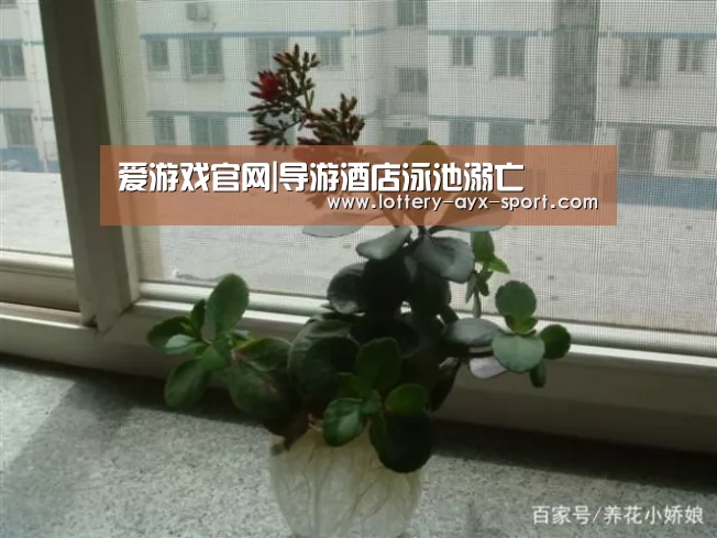 爱游戏官网