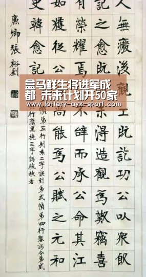 盒马鲜生将进军成都 未来计划开50家店“爱游戏官网”(图3) 爱游戏官网