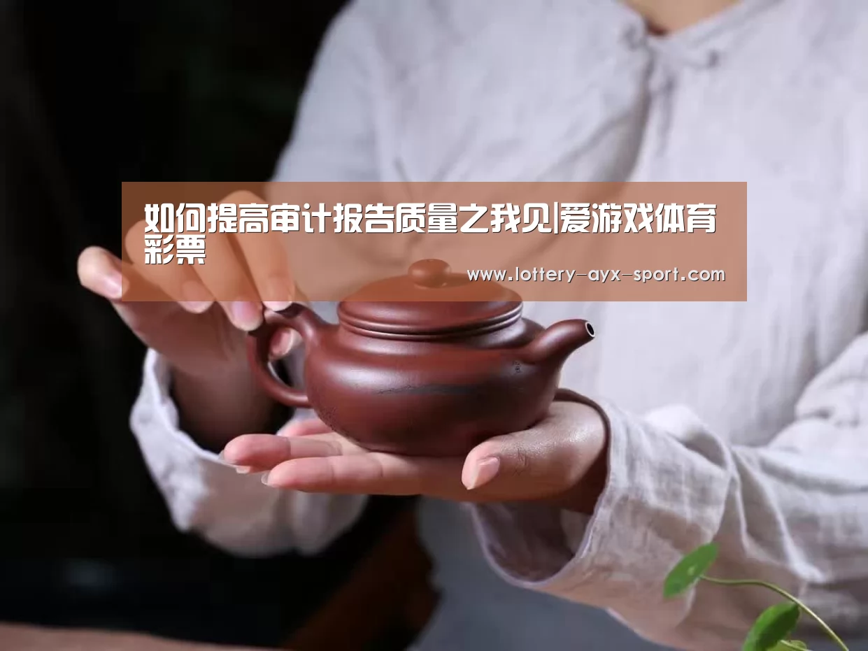 如何提高审计报告质量之我见|爱游戏体育彩票(图1) 爱游戏官网