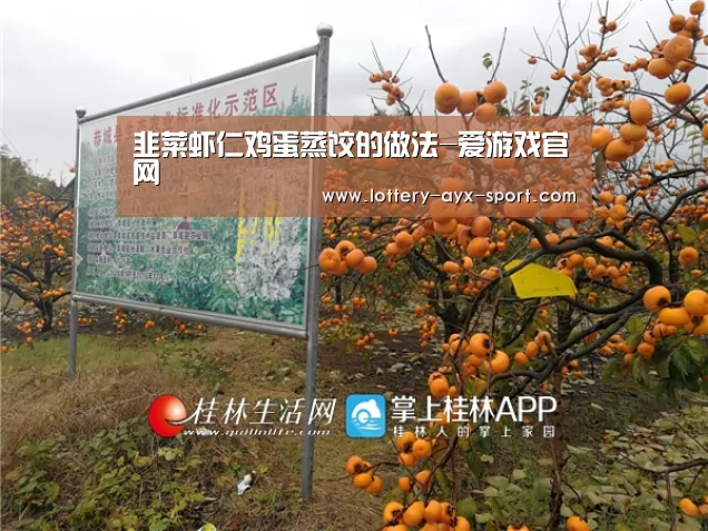 爱游戏官网